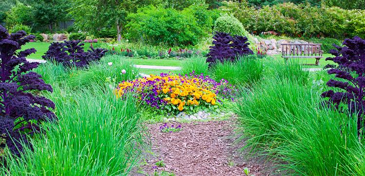 Alaska Botanical Garden