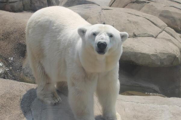 Pittsburgh Zoo & Aquarium