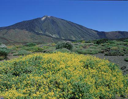 Teide National Park