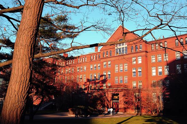 Harvard Museum of Natural History