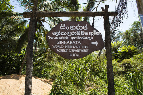 Sinharaja Forest Reserve