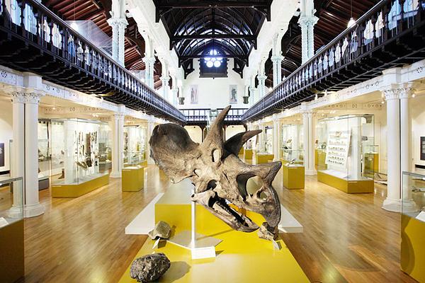 Hunterian Museum