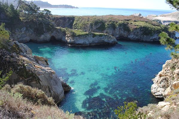 Point Lobos