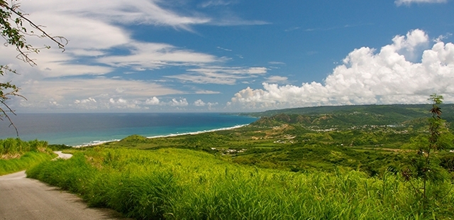 Cherry Tree Hill