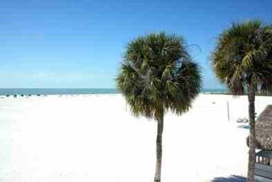 Carousel Inn on the Beach