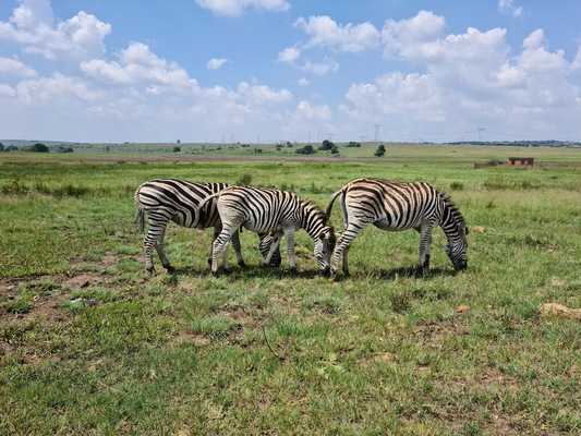 Rietvlei Nature Reserve