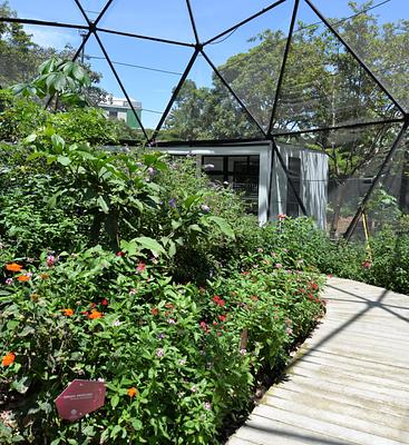 Jardin Botanico de Medellin