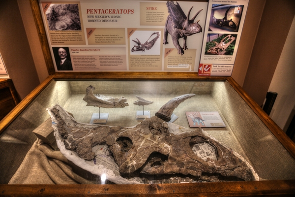 New Mexico Museum of Natural History and Science