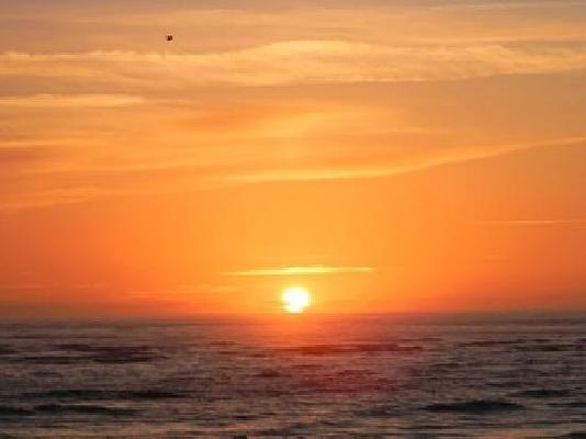 The Saint Augustine Beach House