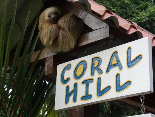 Coral Hill Bungalows