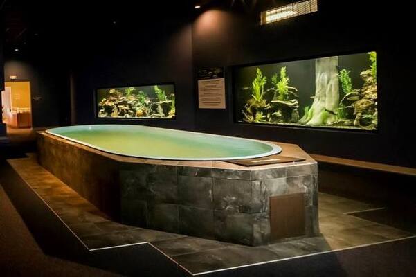 Butterfly Wonderland