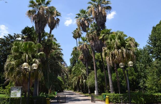Orto Botanico di Napoli