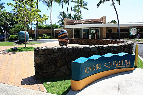 Waikiki Aquarium