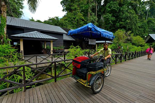 Mulu Marriott Resort & Spa