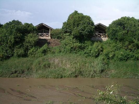 Fig Tree Camp