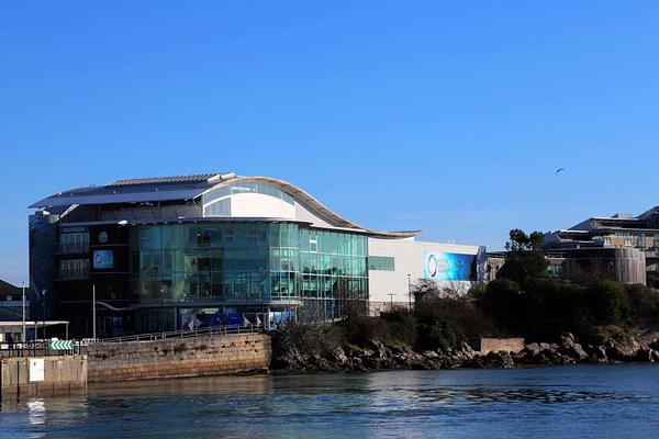 National Marine Aquarium