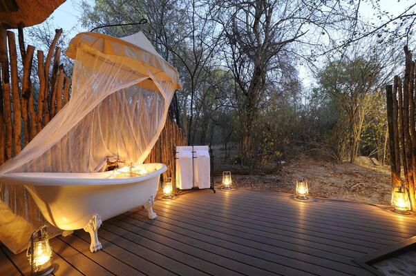 Onguma Forest Camp