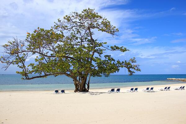 Pristine Bay Resort