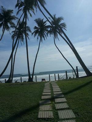 Dickwella Beach Hotel
