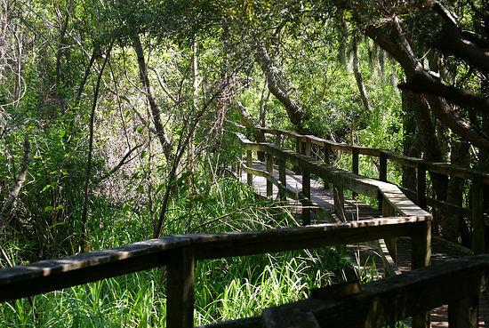 Pinckney Island National Wildlife Refuge