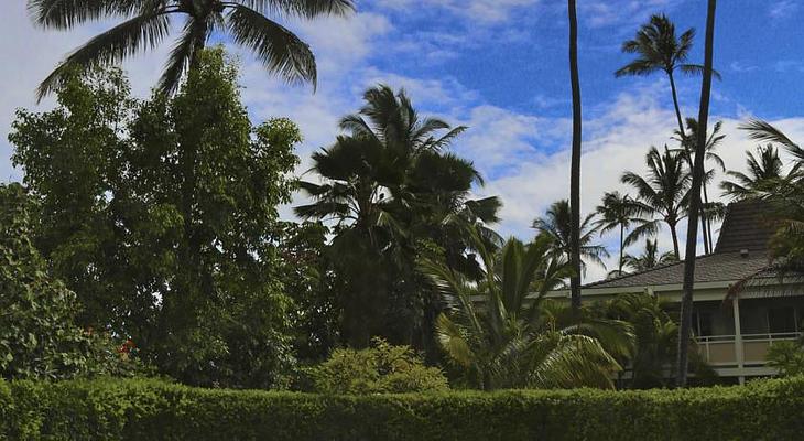 Plantation Hale Suites