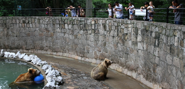 Shanghai Zoo (Shanghai Dongwu Yuan)