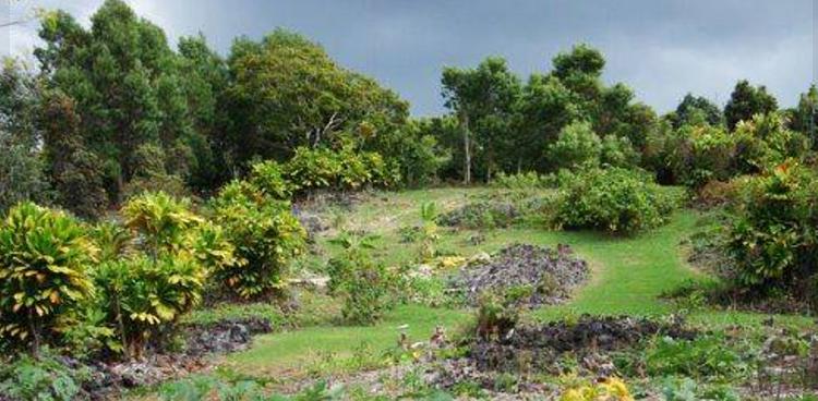 Amy B.H. Greenwell Ethnobotanical Garden