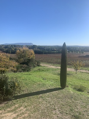 Domaine de la Brillane