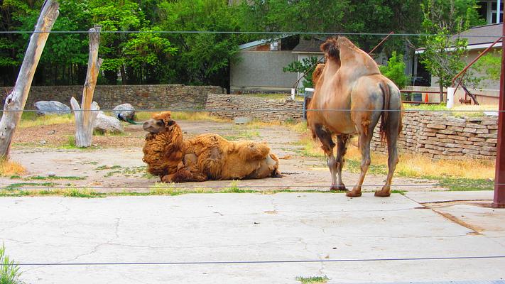 Utah's Hogle Zoo