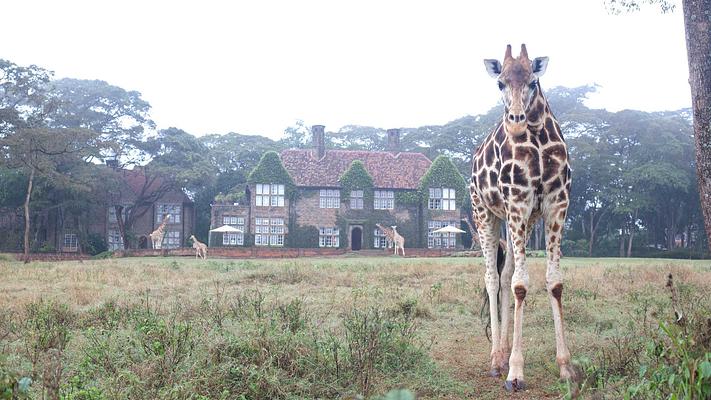 Giraffe Manor