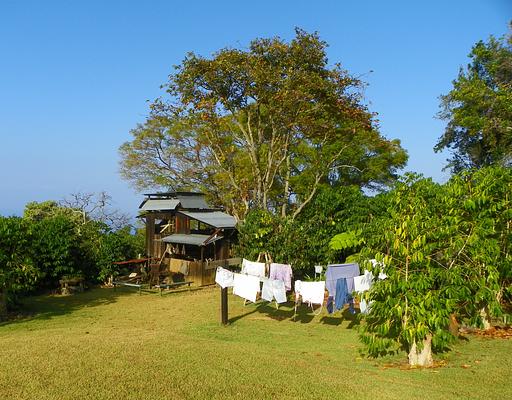 Kona Coffee Living History Farm