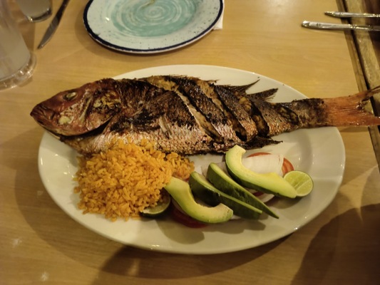 El Grillo Marinero