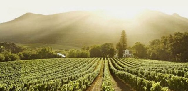 Constantia Uitsig Wine Estate