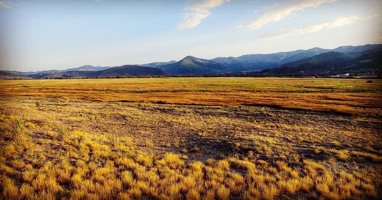 Swaner Preserve and EcoCenter