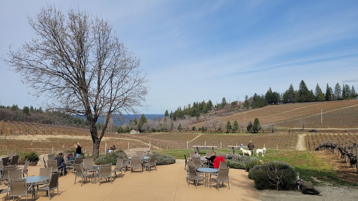 Lava Cap Winery