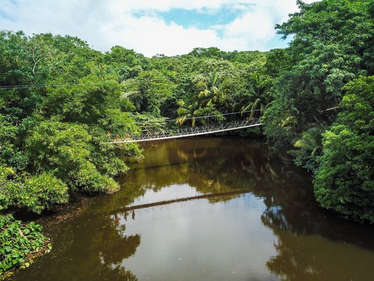 Gumbalimba Park