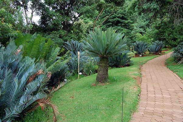 Pretoria National Botanical Garden