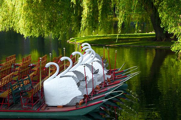 Boston Public Garden