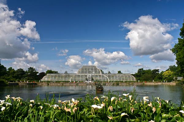Royal Botanic Gardens, Kew