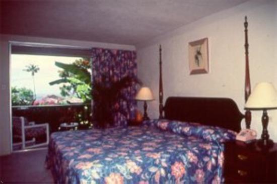 Mount Irvine Bay Resort