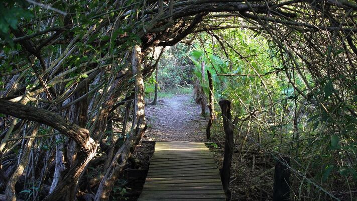 Crooked Tree Wildlife Sanctuary