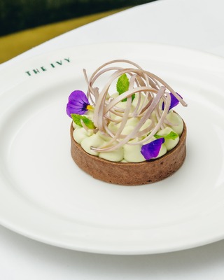 The Ivy