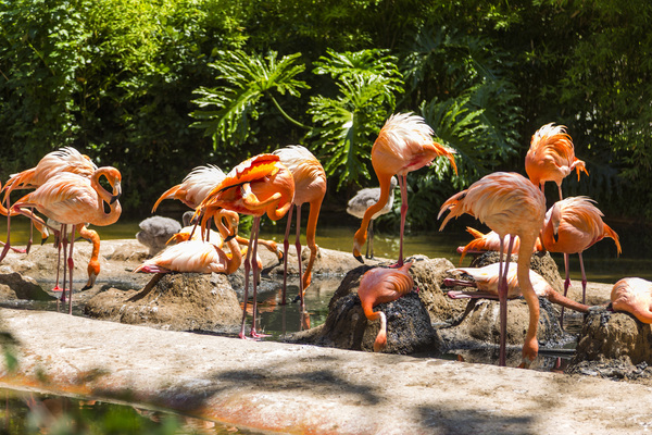 Barcelona Zoo