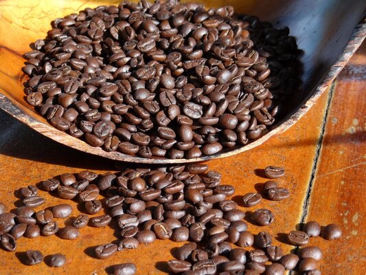 Cafe Rico