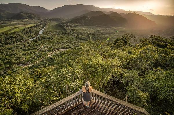 Sleeping Giant Rainforest Lodge