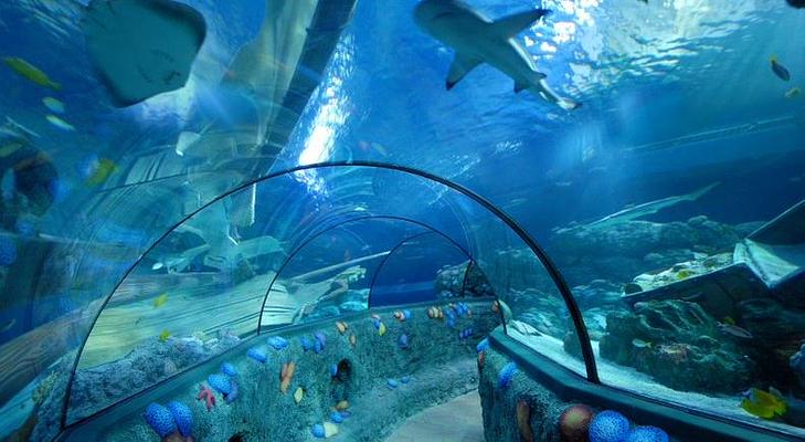 SEA LIFE Orlando Aquarium