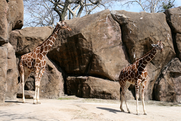 Philadelphia Zoo