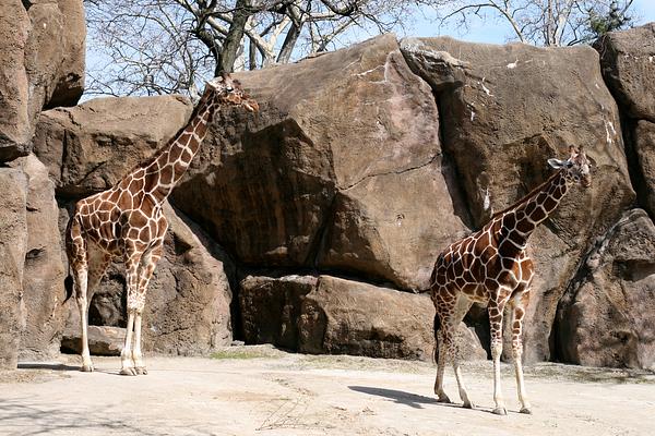 Philadelphia Zoo