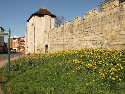 York City Walls