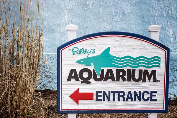 Ripley's Aquarium of Myrtle Beach